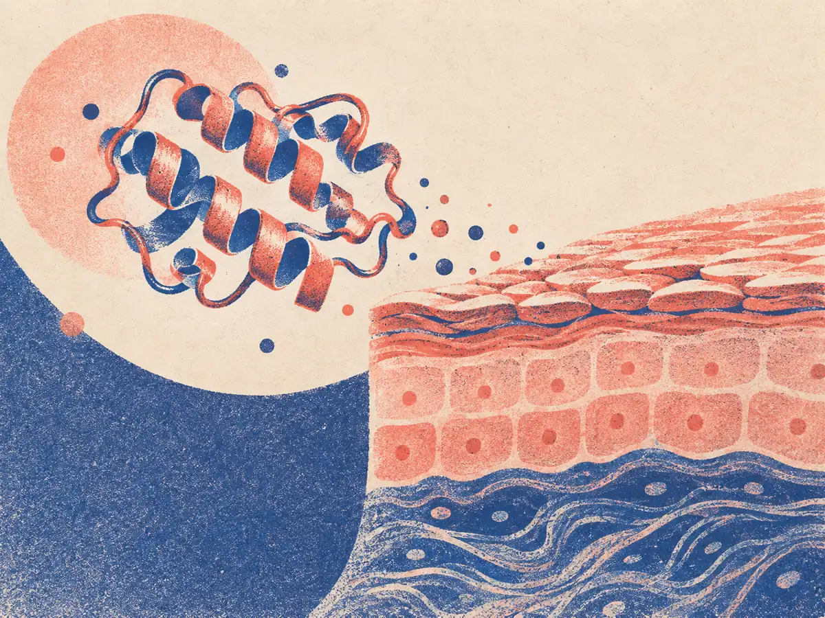 Risograph-style protein and skin-barrier delivery illustration